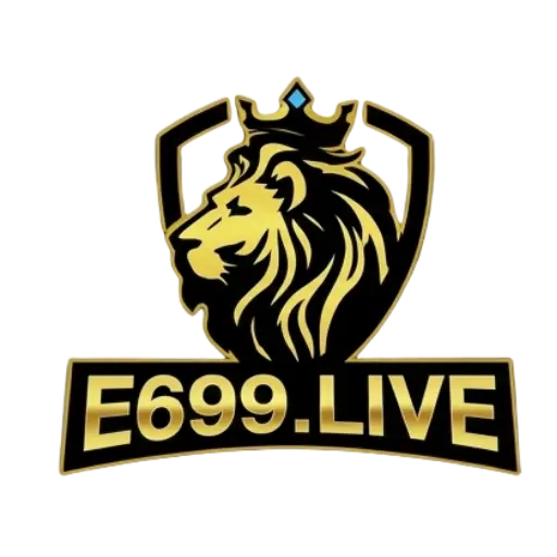 e699