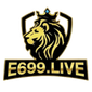 e699